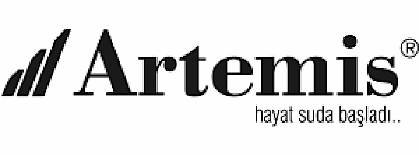 artemis artemis